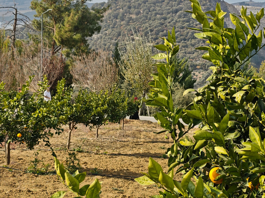 BN Hotel Thermal & Wellness主图