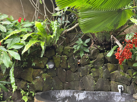 GenuineHost的神圣贝吉