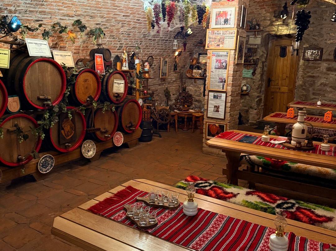 Pivnita lui Teo - Teo's Cellar-锡吉索拉必去景点