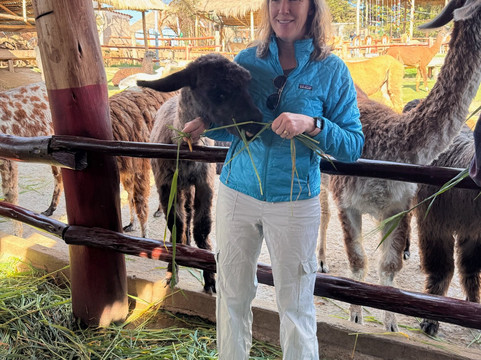 Discover Pachamama-库斯科必去景点