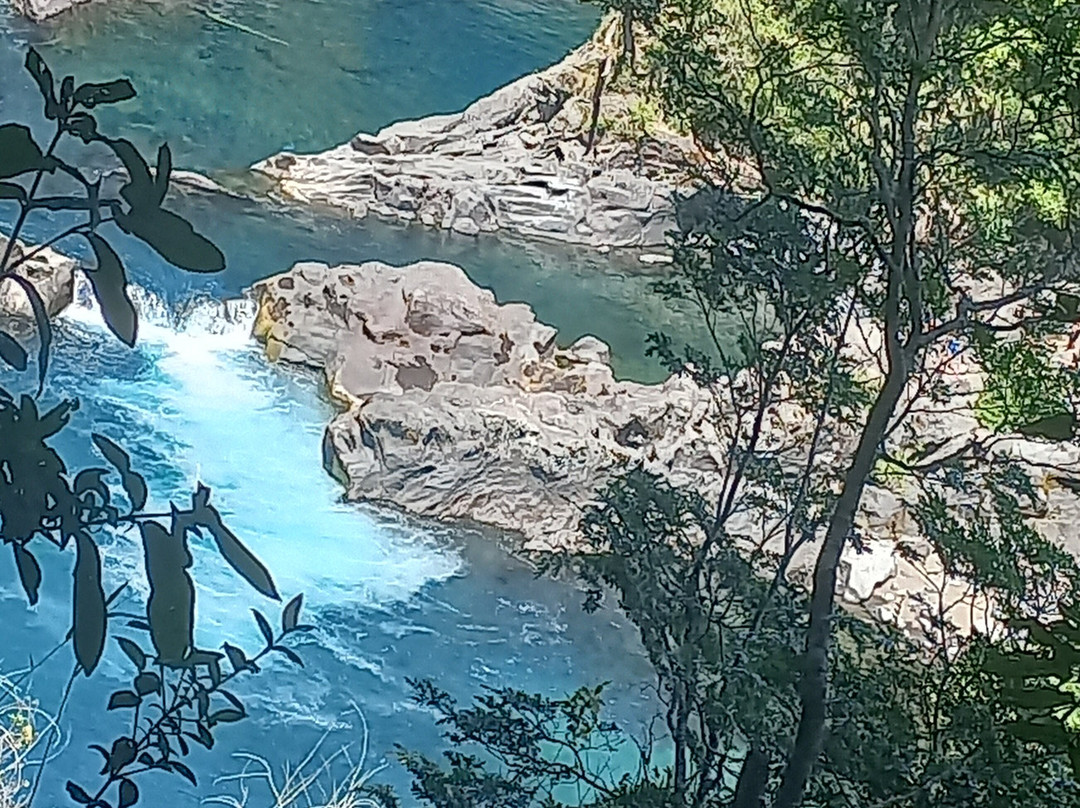 Huilo Huilo Reserva Biológica-Los Rios Region必去景点