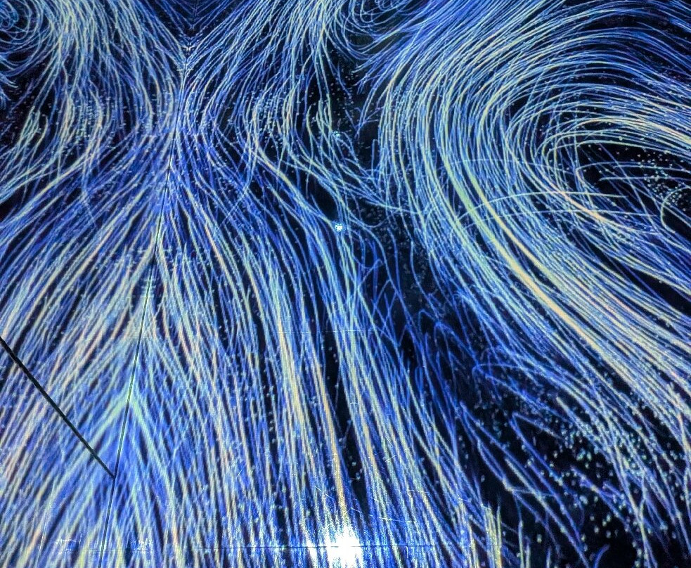 teamLab Planets TOKYO-Toyosu必去景点