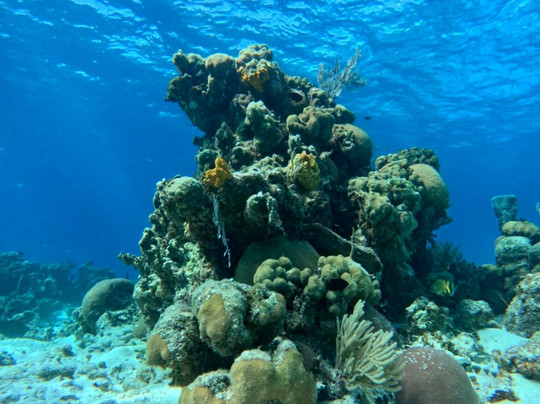 Varadero Diving Tour-Playa Larga必去景点