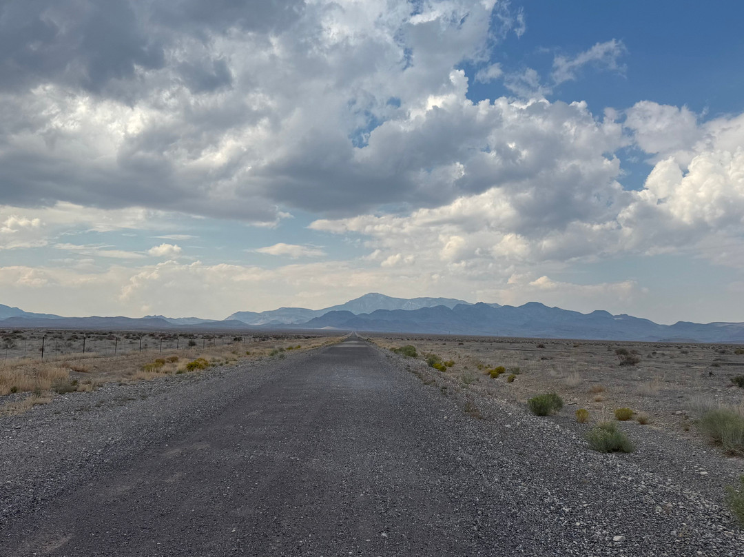 U-Dig Fossils-犹他州必去景点