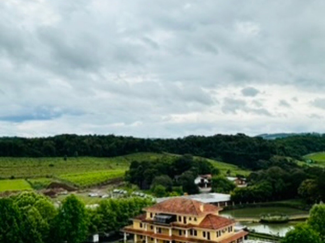 Miolo Wine Group-本图贡萨尔维斯必去景点