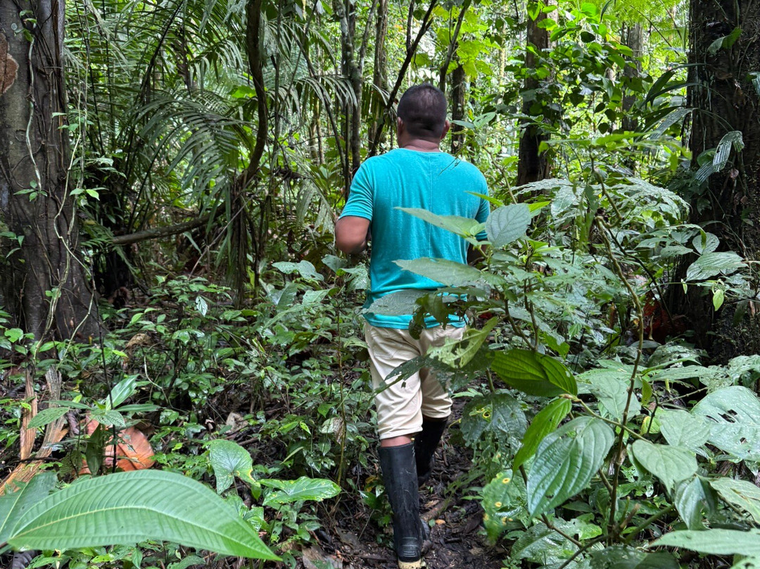 Runawa Tours-Misahualli必去景点