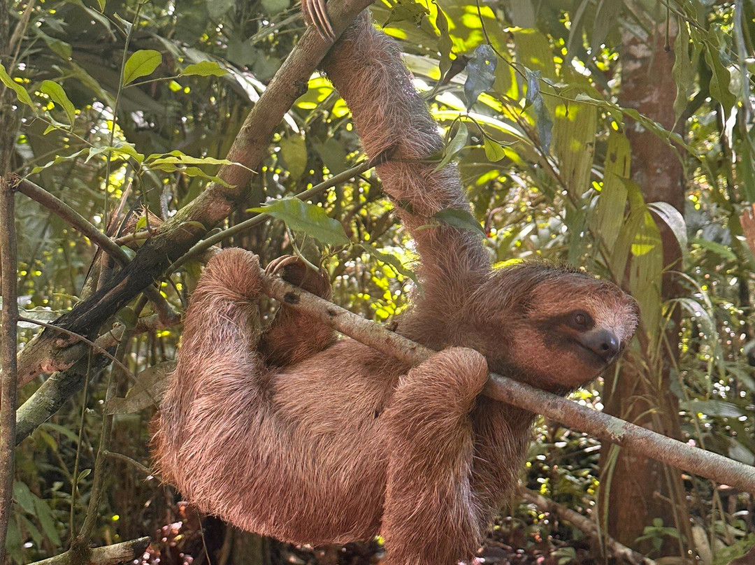 Matt's Fishing & Tours-萨迪纳尔必去景点