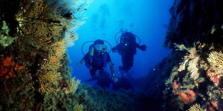 Bed And Breakfast Serendipity-官方