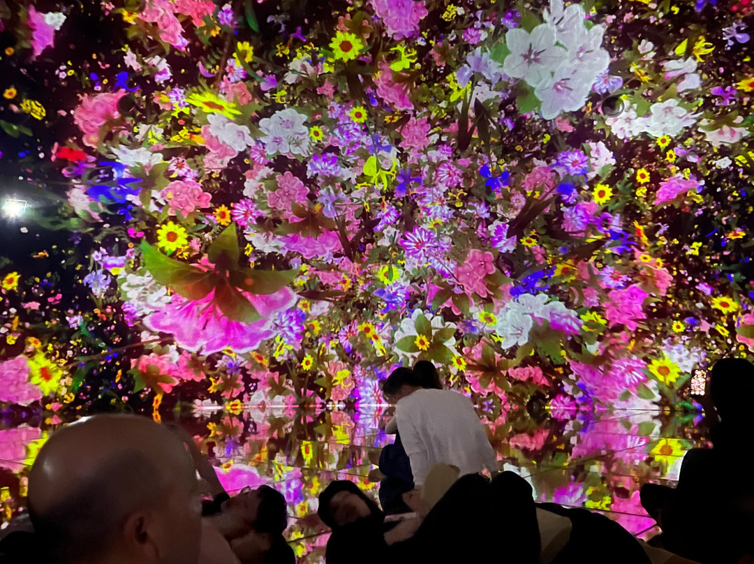 teamLab Planets TOKYO-Toyosu必去景点