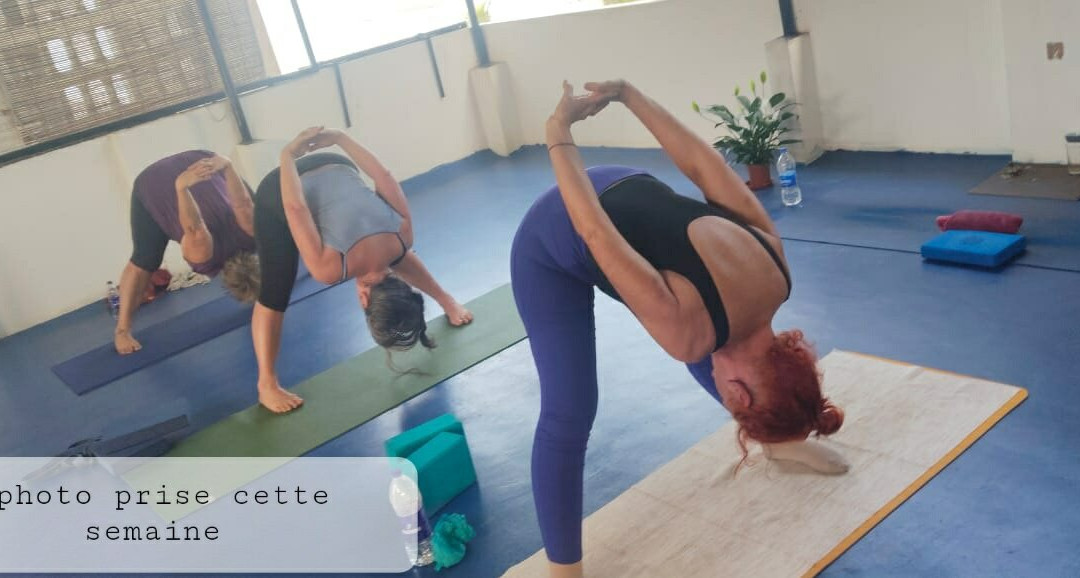 Elephant Yoga Centre-科瓦兰必去景点