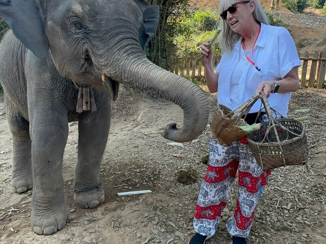 Elephant Village Sanctuary & Resort-琅勃拉邦必去景点