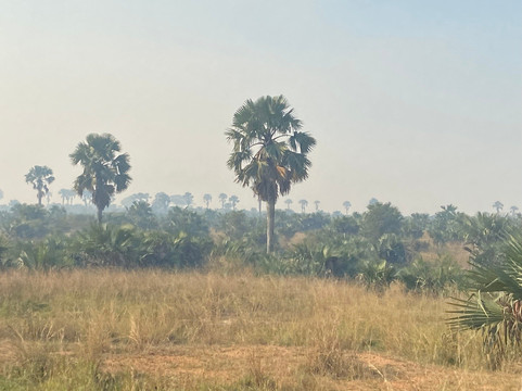 Asante Tour Safaris & Travel-坎帕拉必去景点