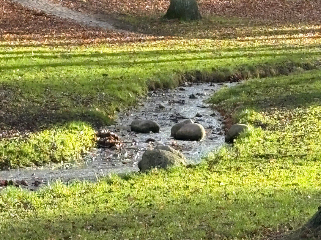 Byparken City Park, Roskilde-罗斯基勒必去景点