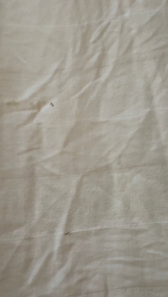 奈通布里海滩度假村-官方