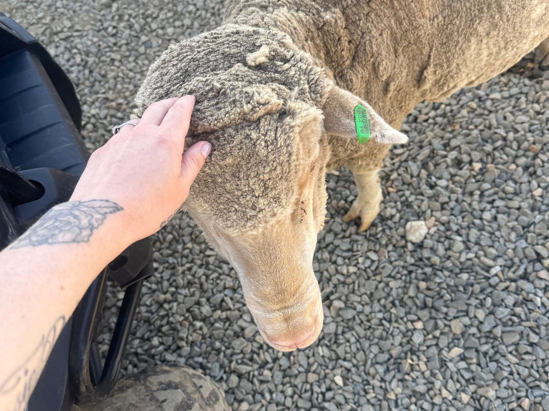 Waitpinga Farm Quad Bike Adventures-Waitpinga必去景点