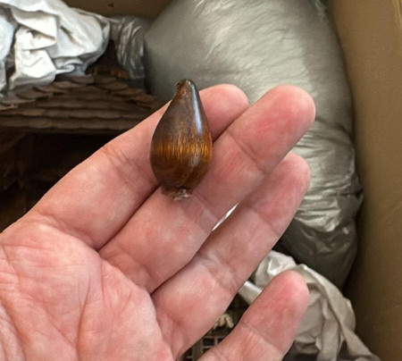 Brunner World of 1000 Clocks-蒂蒂湖-新城必去景点