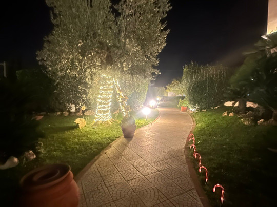 Hotel d'Altavilla主图