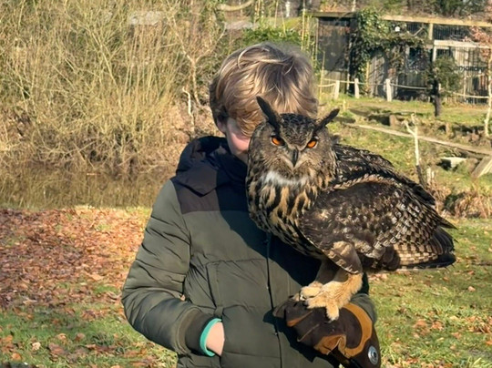 Topvogel-Diessen必去景点