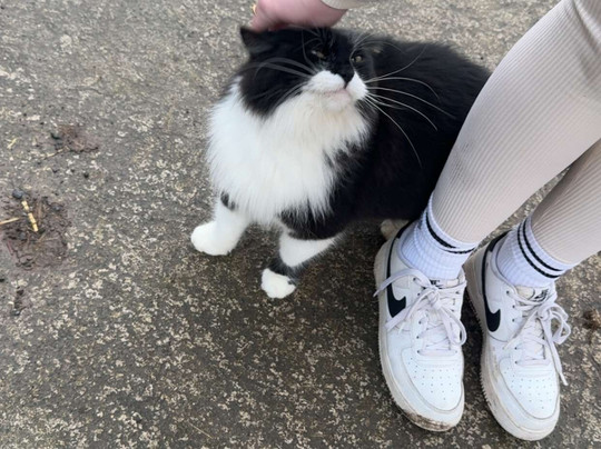 Campview Farm-Ballyshannon必去景点