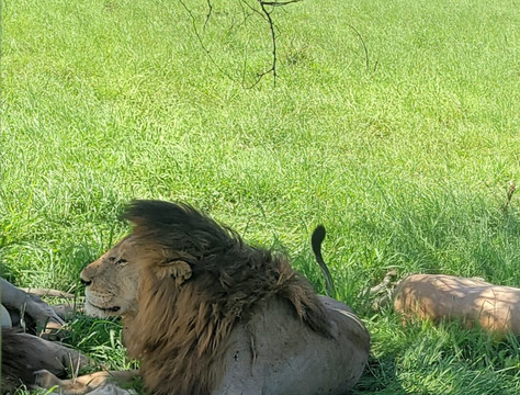 Full Package Adventures-阿鲁沙必去景点