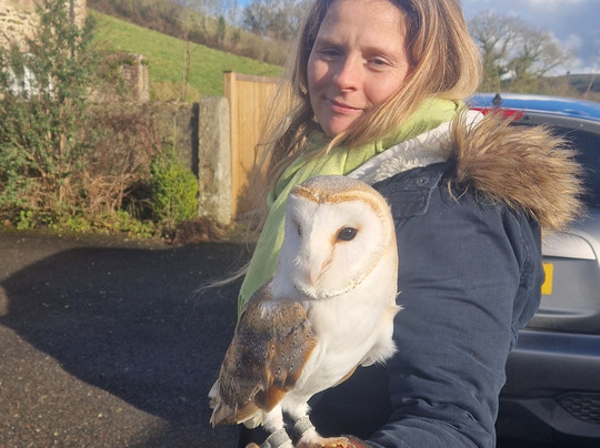 North Devon Hawk Walks-South Molton必去景点