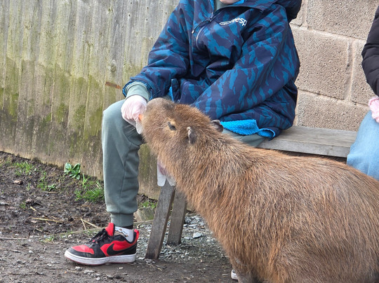 Wild Discovery-普雷斯顿必去景点