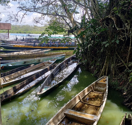 Lake Limoncocha-Tena必去景点