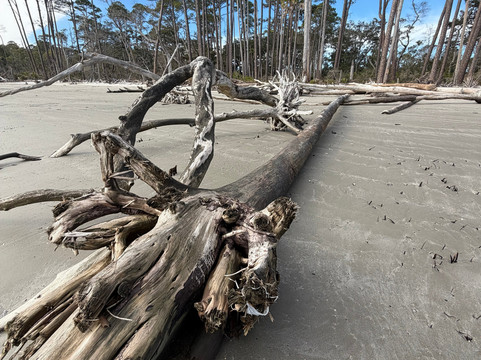 St. Phillips Island Ferry-Saint Helena Island必去景点