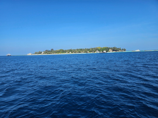 Liquid Salt Divers-Dharavandhoo必去景点