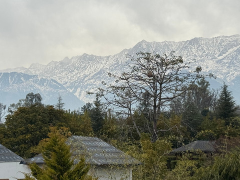 Storii by ITC Hotels, Amoha Retreat Dharamshala主图