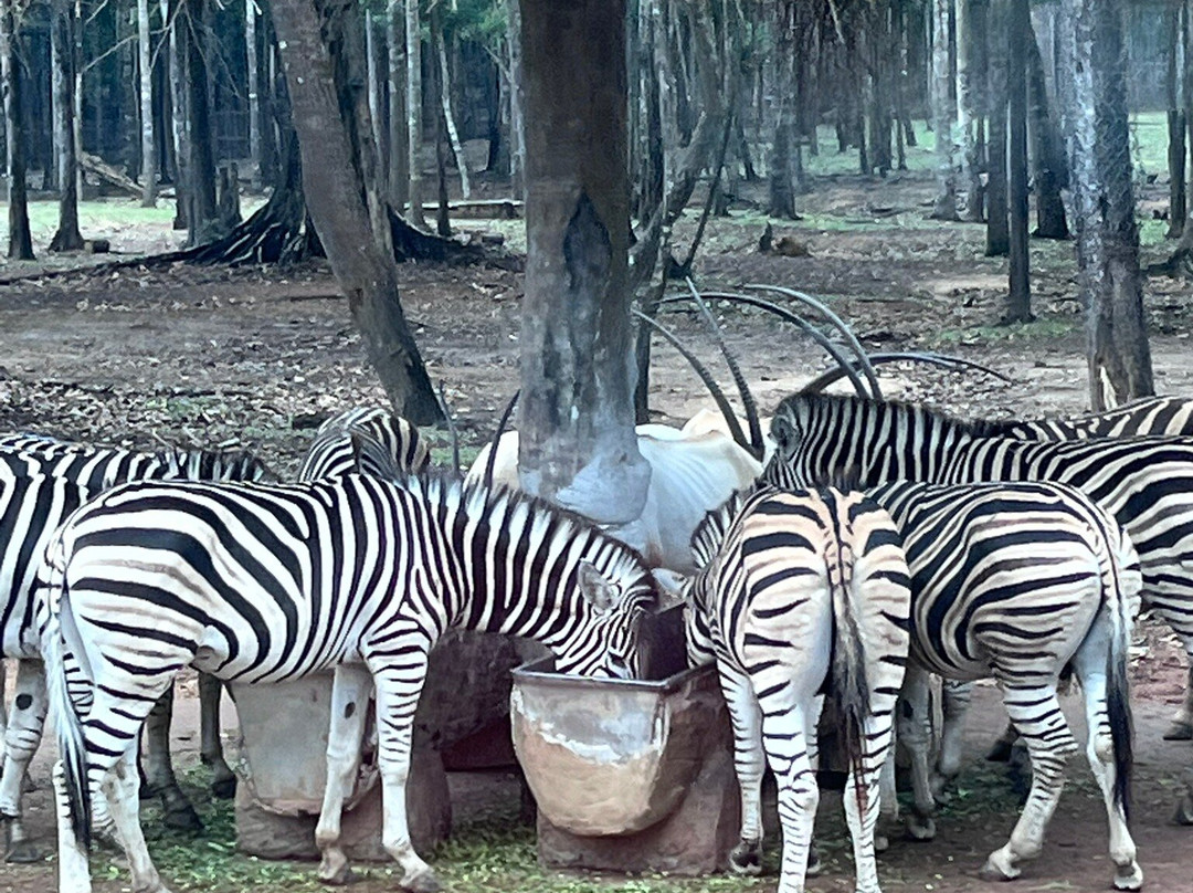 珍珠王国野生动物园-富国岛必去景点