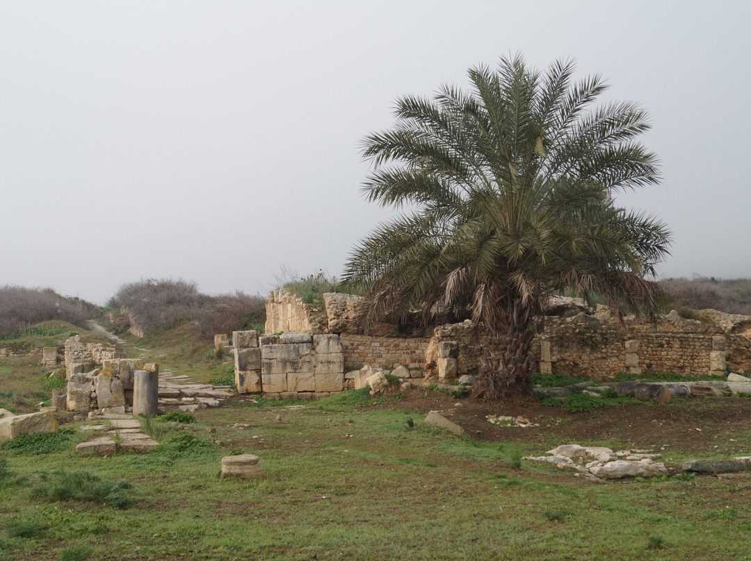 Bulla Regia-Jendouba必去景点