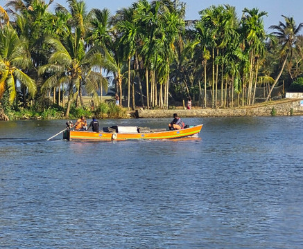 Sunsets and Palm Trees主图
