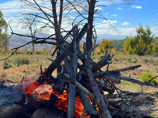 La Foret du Djebel Ouahch-君士坦丁必去景点
