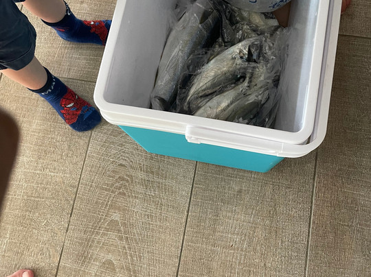 Carib Evasion-Case-Pilote必去景点