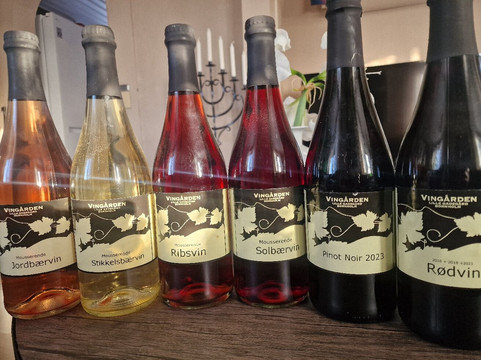 Vingaarden, Lille Gadegaard ( Vineyard )-Bornholm必去景点