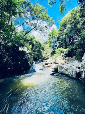 Forest Escape by Galarawa Lodge-家庭/游戏区