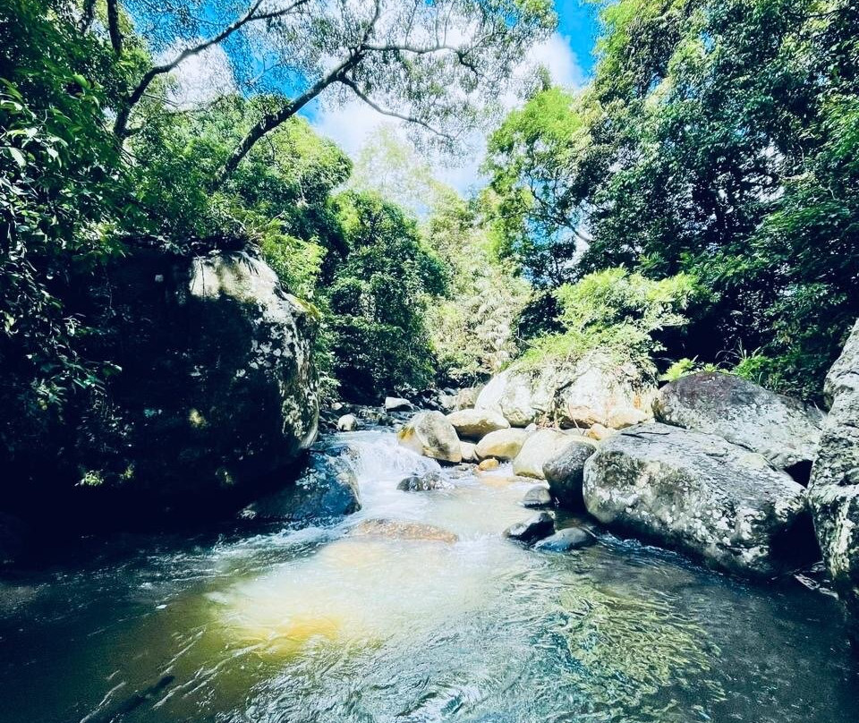 Forest Escape by Galarawa Lodge主图