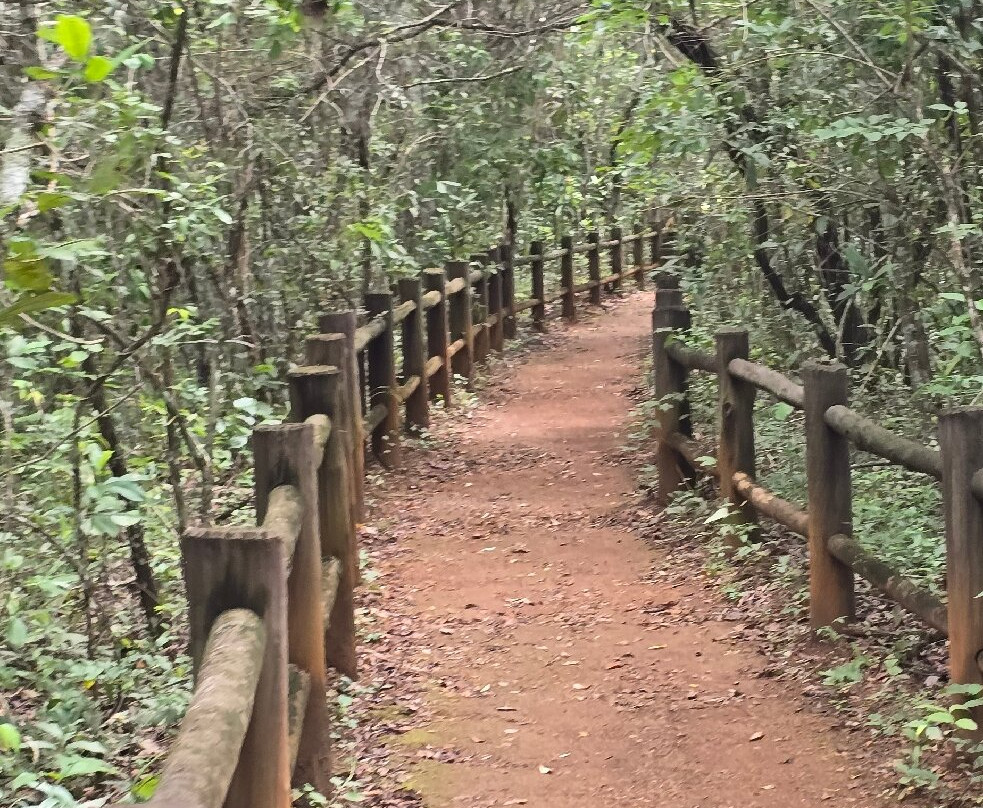 巴西利亚国家公园 (Agua Mineral)-巴西利亚必去景点