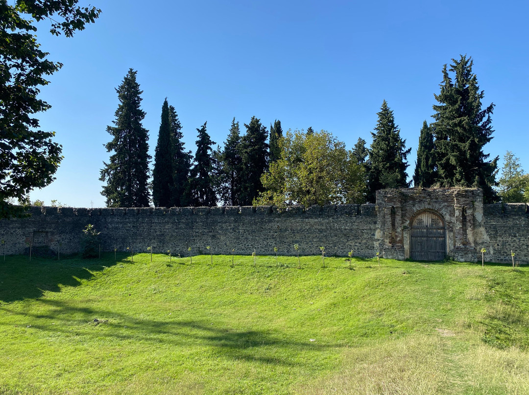 Zagatala Castle Walls