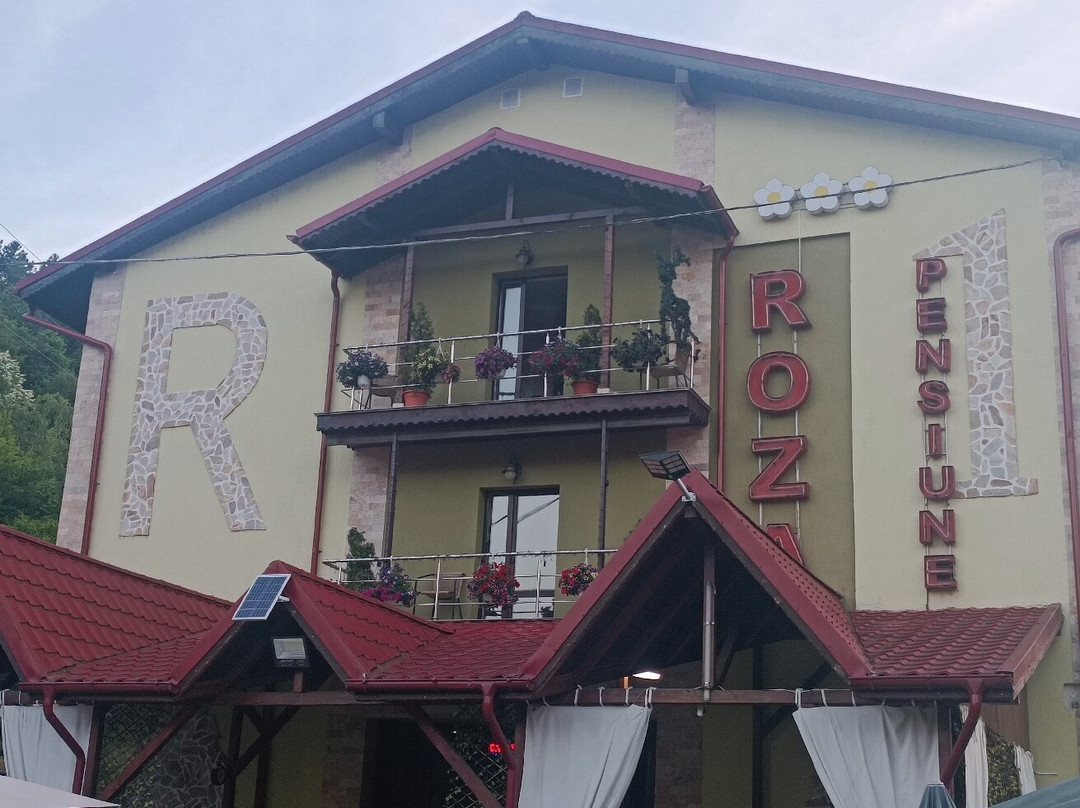 Pensiunea Roza主图