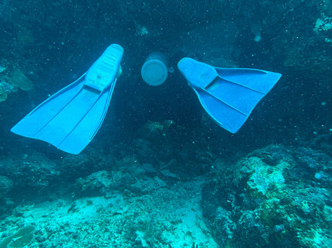 DivePoint Rannalhi-绚丽岛必去景点