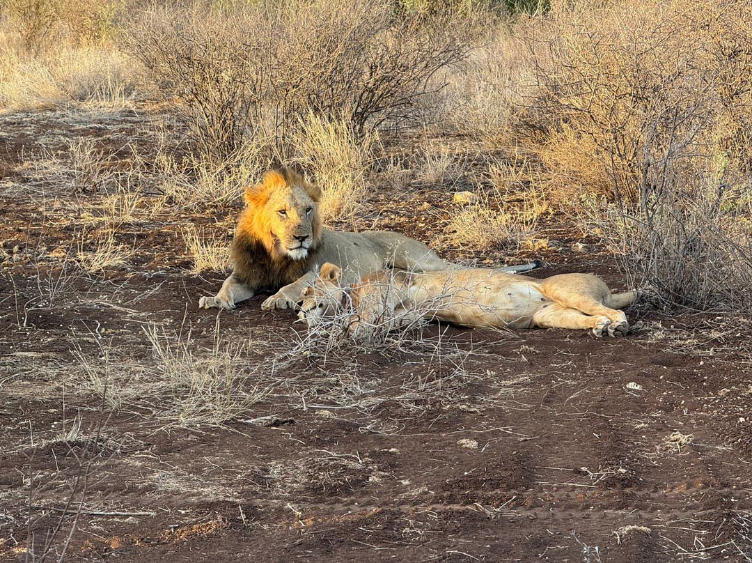 Agenzia Safari Vera Africa-东察沃国家公园必去景点