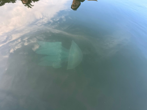 Tranquility Holiday Home