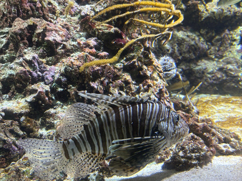 Aquarium La Rochelle-拉罗谢尔必去景点