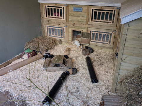 Williamson Park-兰开斯特必去景点