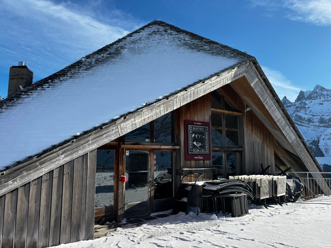 皮勒恩彩虹酒店主图