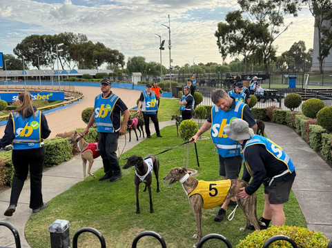 Melbourne Greyhounds - The Meadows-Broadmeadows必去景点