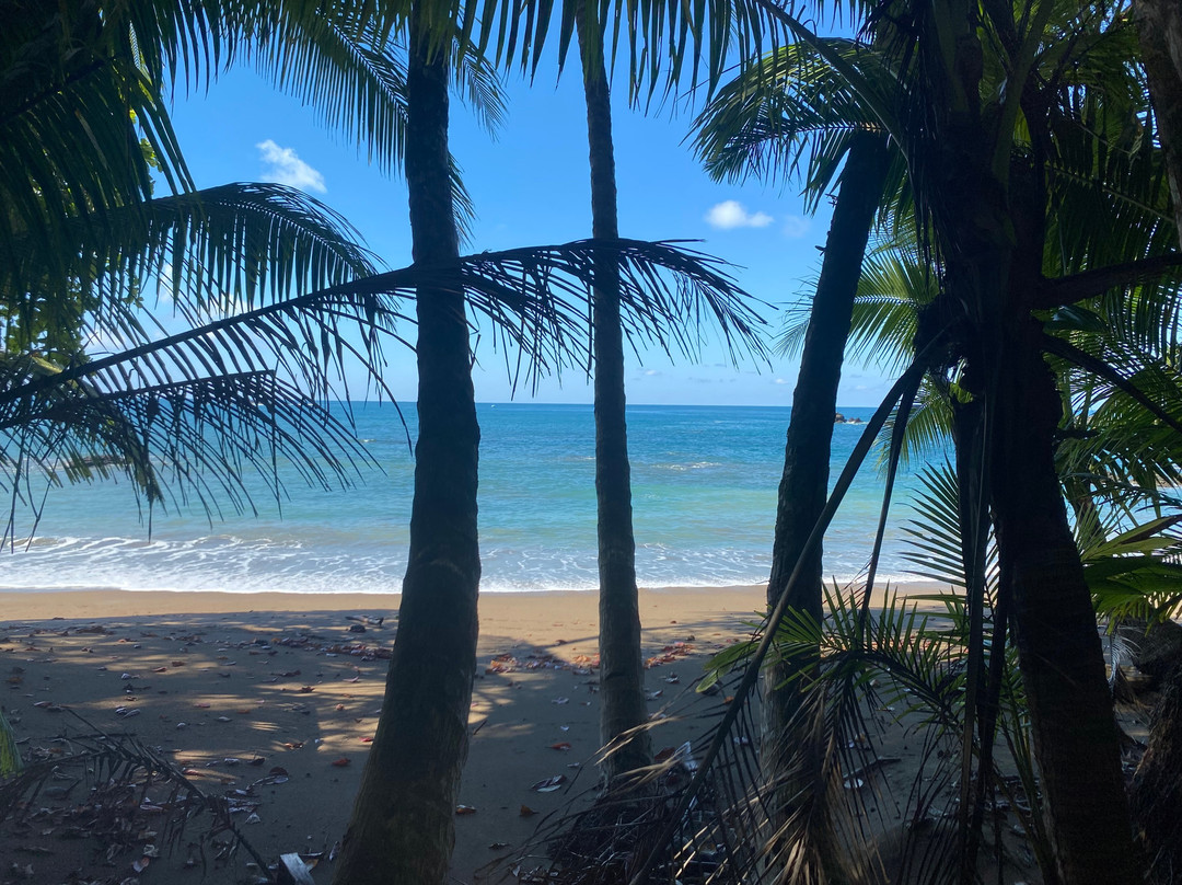 Costa Rica Decouverte-圣何塞必去景点