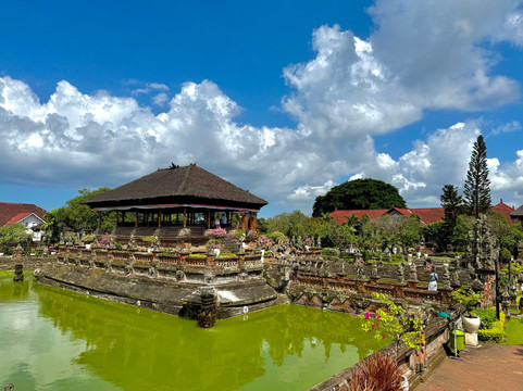 Bali Chauffeur - Day Tours-沙努尔必去景点